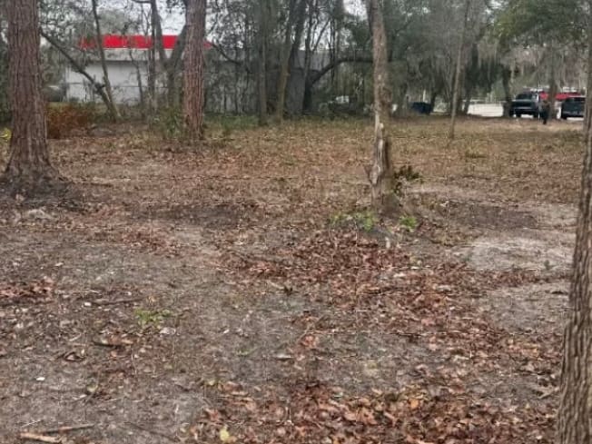 After — the same patch of woods down to bare ground and leaf litter.
