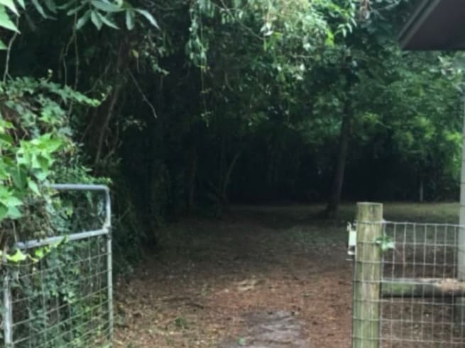 After — the same gate clear, the low limbs cut back and the track behind it open.
